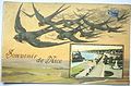 Postcard of France - Department of Alpes-Maritimes (06) - Souvenir of Nice, swallows - unknown Year, approximately 1905