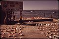 Seashells, Key West, Florida