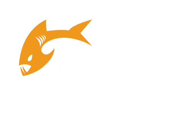 Payara Micro Payara Micro